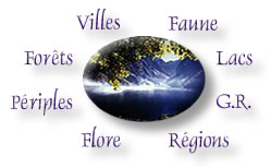 le logo de balade