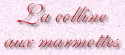 Titre Colline aux marmottes