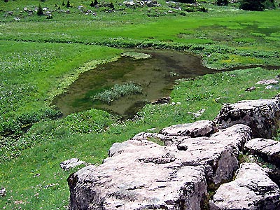 Lac de Bise