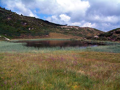 Lac Brassa -  Patrice Roatta - Juillet 2005