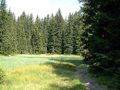 Lac du Clou -  Patrice Roatta - Juillet 2005