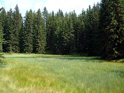 Lac du Clou -  Patrice Roatta - Juillet 2005