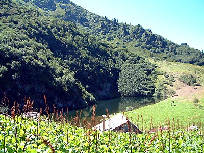 Lac des Cornaches -  Patrice Roatta - Aot 2005