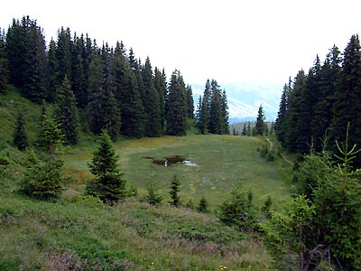 Lac Couvert -  Patrice Roatta - Juillet 2005