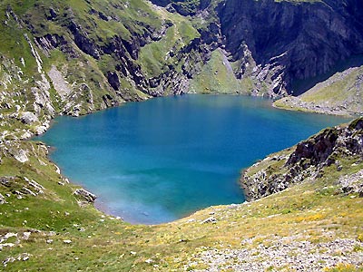 Lac isabe