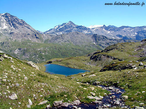 Lac longet