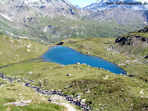 Lac longet