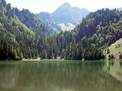 Le lac des Plagnes -  www.mieussy-vdm74.com