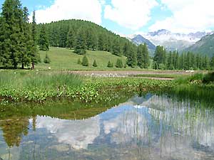 Lac de la Roue -  Patrice Roatta