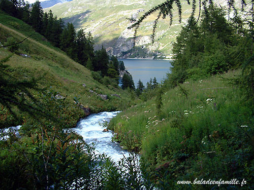 Le ruisseau du lac -  Patrice Roatta