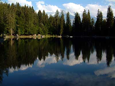 Le lac Vert -  Patrice Roatta