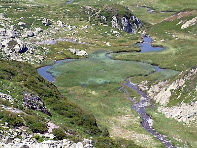 Lac vert -  Patrice Roatta - Juillet 2005