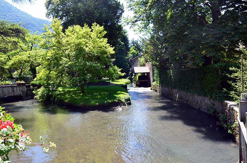Cours d'eau  l'entre du parc