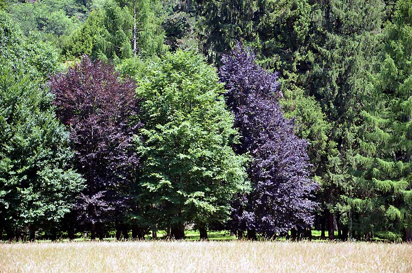 Mlange de couleurs