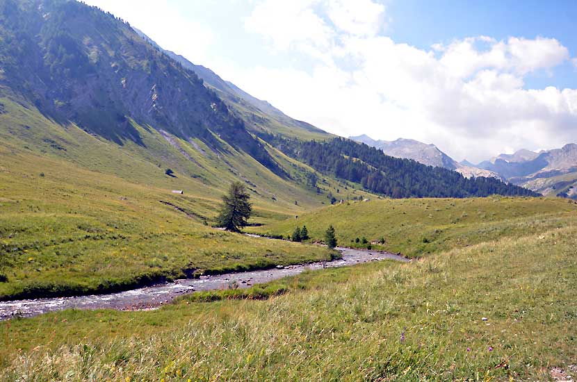 L'Ubayette, dans le vallon du Lauzanier
