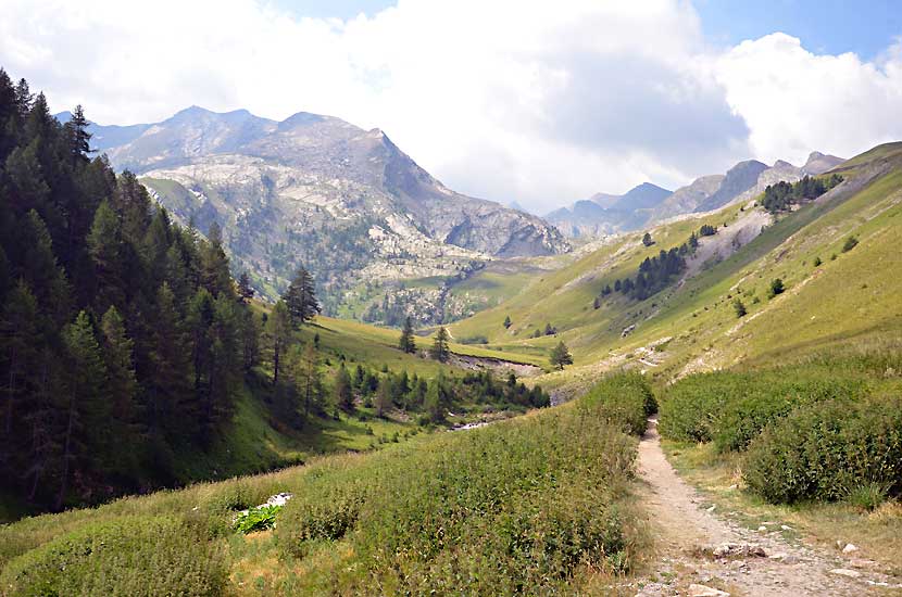 L'Ubayette, dans le vallon du Lauzanier