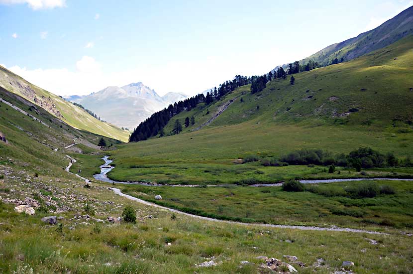 L'Ubayette, dans le vallon du Lauzanier