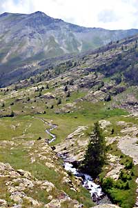 Torrent de l'Ubayette