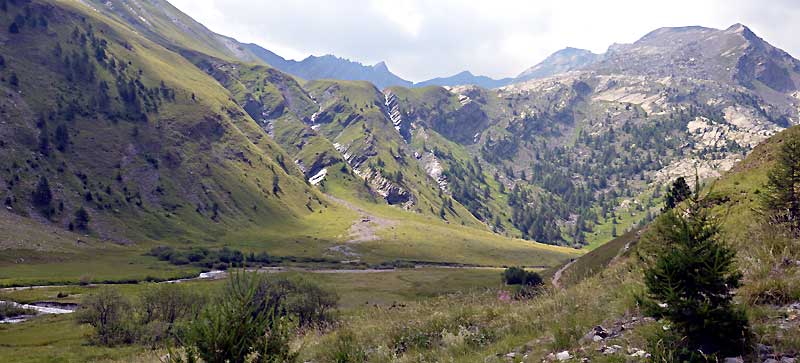 Vallon du Lauzanier