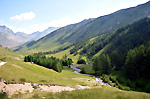 Vallon du Lauzanier