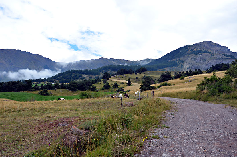 Paysage agricole