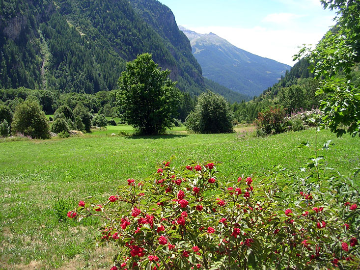 La valle