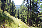 Sentier du vallon de la rouanne