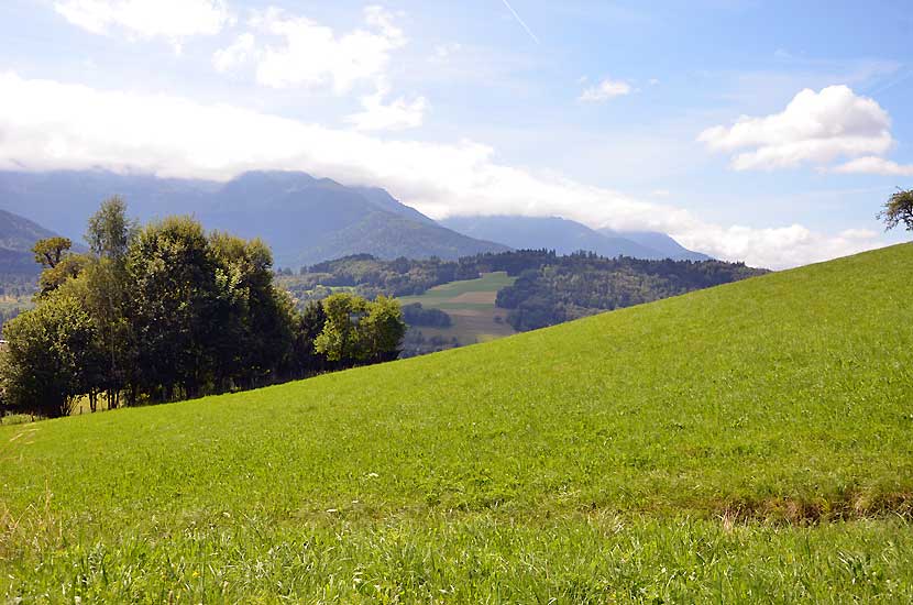 Les prs au col de la croix des adrets