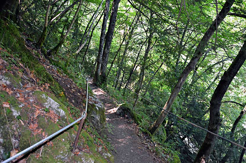 Sentier qui conduit au dessus de la grande cascade 