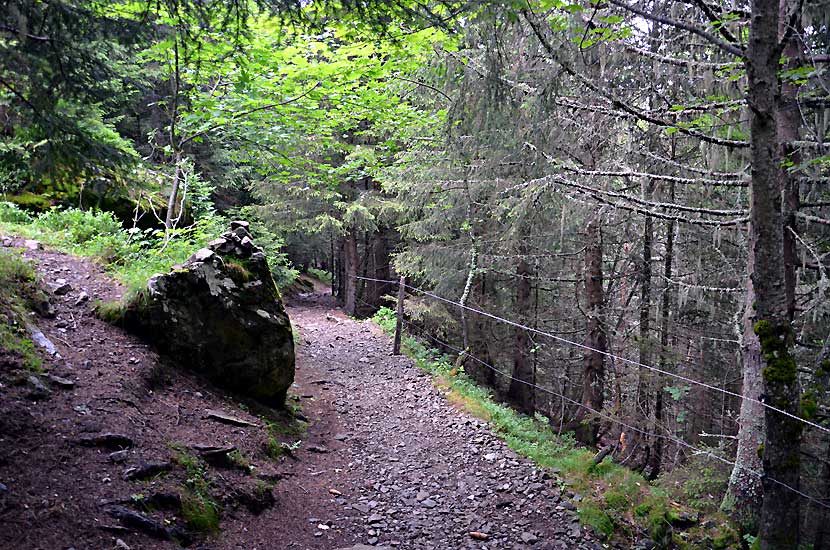 Sentier de la randonne