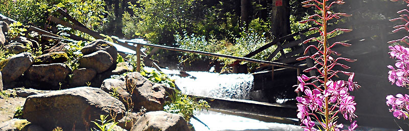 Pont sur le ruisseau de la Combe Madame