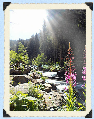 Pont sur le ruisseau de la Combe Madame