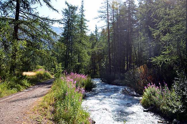 Le torrent du Petit Tabuc