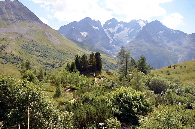 Le glacier du Lautaret