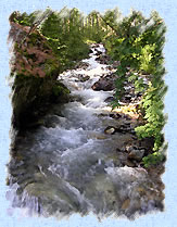 Le torrent du Petit Tabuc