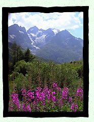 Vue sur le glacier du Lautaret