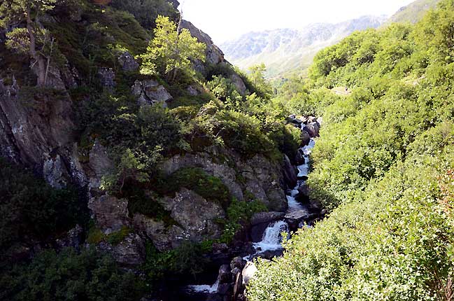 Le torrent de Neuvache