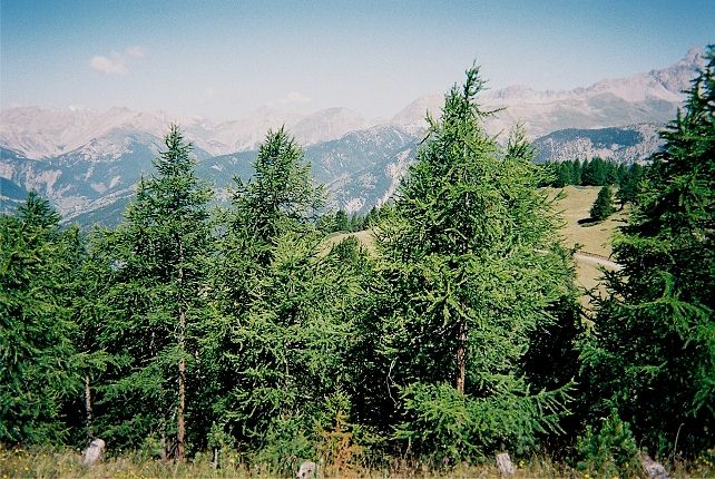 Vue vers l'ouest et la barre des crins.