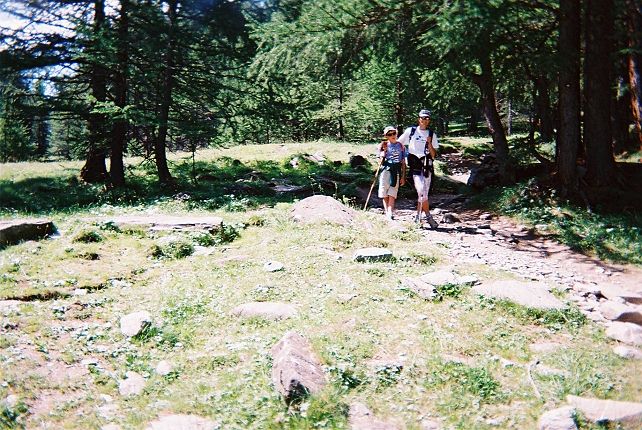 Le sentier dans la fort