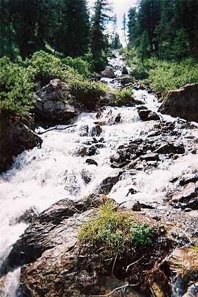 Torrent de la Pisse