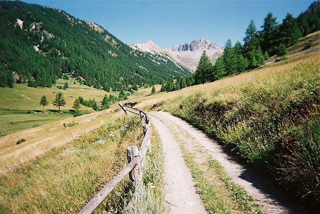 Le sentier dans le pr Soubeyran