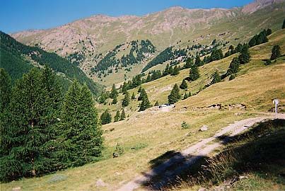 Dpart de la balade, la bergerie du Lombard