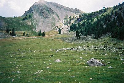 Prairie dans la descente