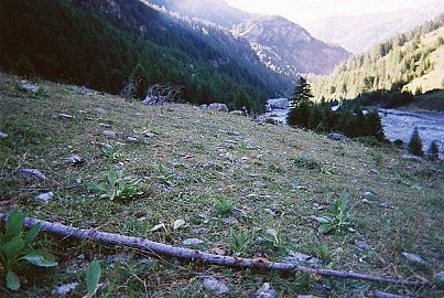retour au parking et vue vers la valle du Guil