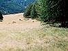 Vue sur un champ prs du sentier des Astragales