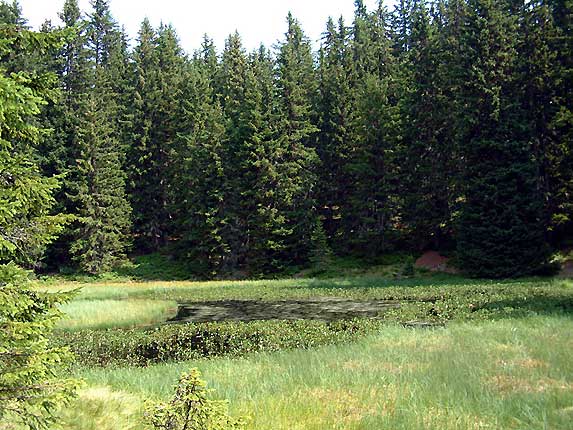 Le lac du Clou