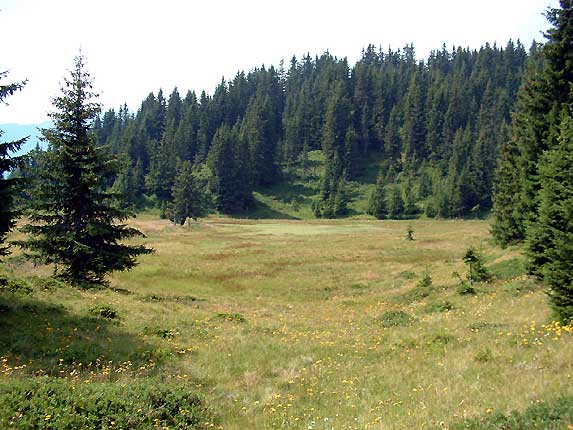 En allant au lac couvert