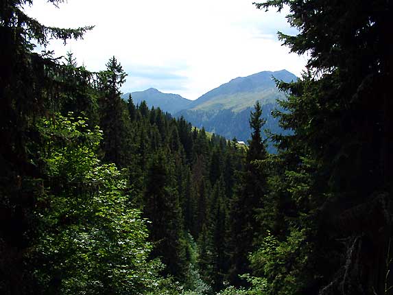 Fort au col du Pr