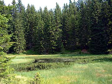 Le lac du Clou