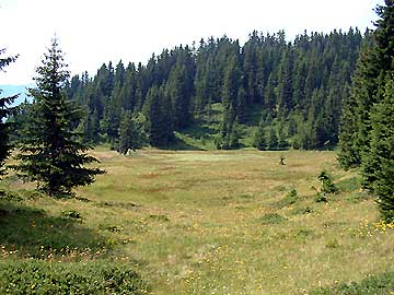 En allant au lac couvert